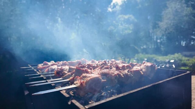 Slow motion closeup of juicy barbecue meat skewers grilling on hot charcoal with heavy smoke in sunny outdoor garden setting