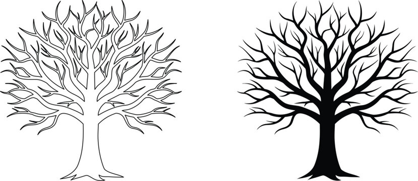 Deciduous tree bare branches line art and black silhouette icons on transparent backdrops.