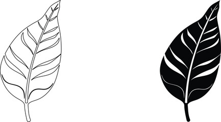 Leaf outline and solid silhouette vector icon. © pankajkumar