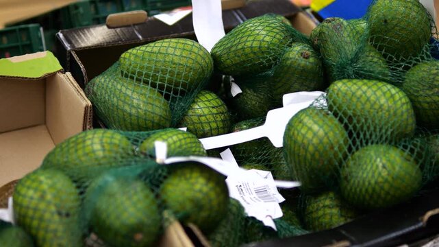 Close up of a shopper's hand choosing a mesh bag of fresh green avocados from a cardboard box in the produce section of a supermarket, selecting healthy food for a balanced diet