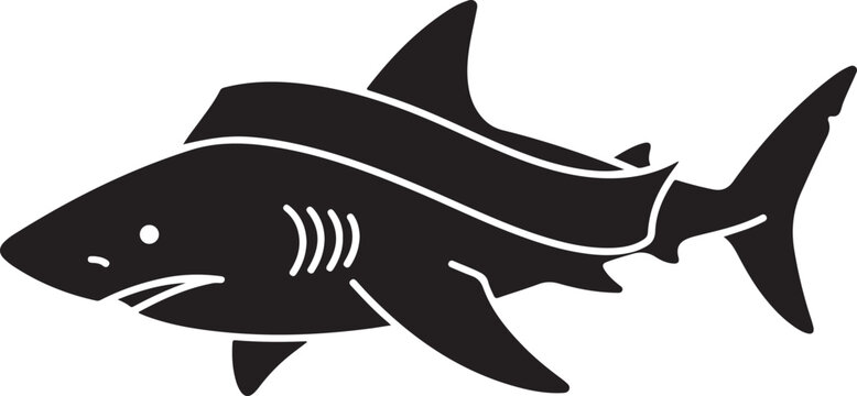 Large gray shark swimming in the ocean water  side view