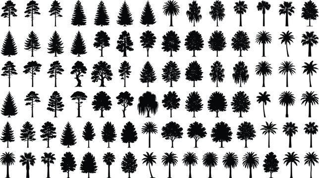 Tree silhouettes, various species, nobody, illustration