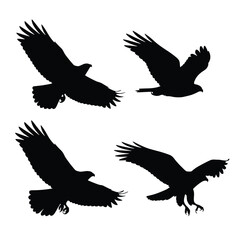 Obraz premium Predatory hawk silhouette vector set featuring wild flying eagle and falcon with spread wings, isolated on white background for powerful commercial branding and corporate logo design