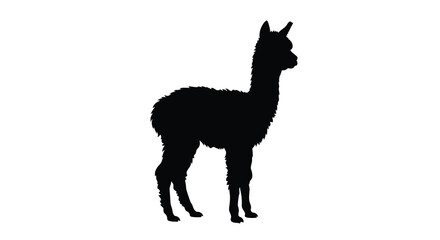 Llama standing side view black silhouette © Sumon