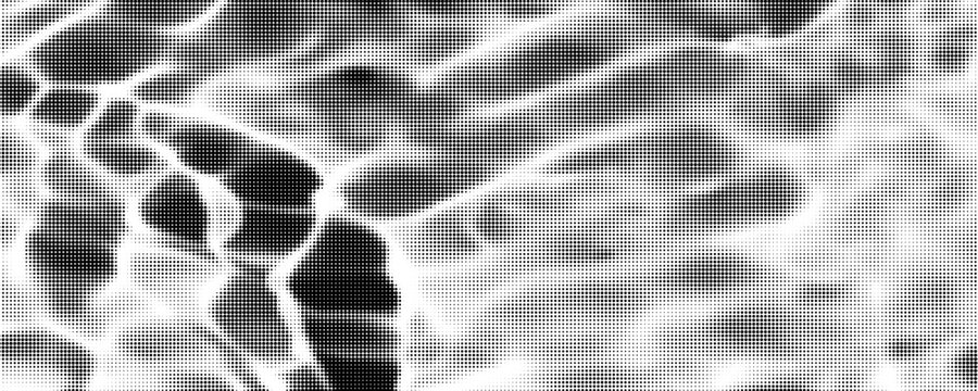 The halftone texture is monochrome. A wave of dots. Abstract black and white texture. Ink dots randomly placed on a white background. Pop art texture for printing on wrapping paper, business cards