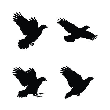 Flying game bird silhouette vector set featuring wild grouse and partridge in various flight poses, isolated on white background for commercial hunting and nature design
