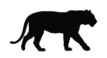tiger silhouette on a white background side view of feline © Sumon