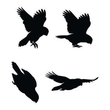 Flying parrot silhouette collection, isolated parakeet bird shapes set, black tropical wildlife vector graphics