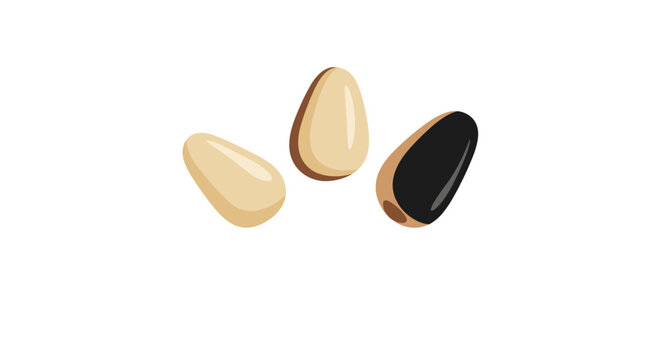 Close up illustration of three pine nuts with one showing its dark shell for healthy seed, organic ingredient, and superfood concepts.