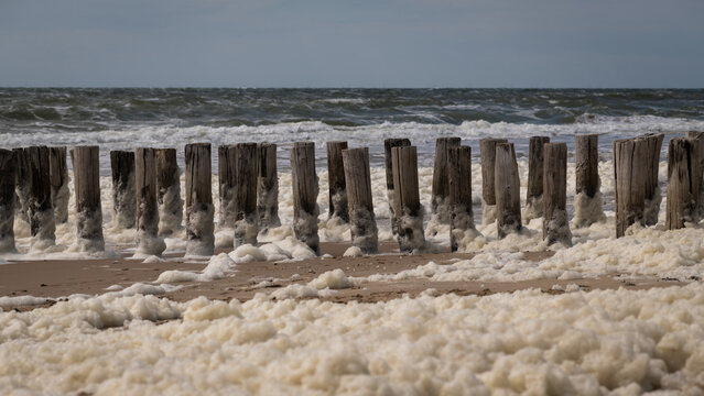 foam and row of groynes in the northsea ocean on the beach at high tide 
