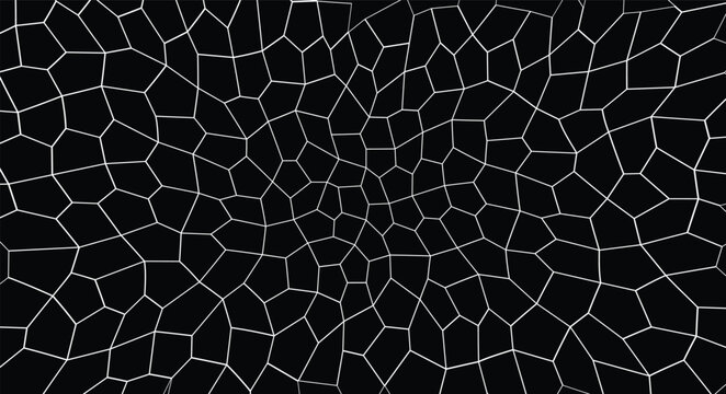Black and white abstract geometric voronoi pattern