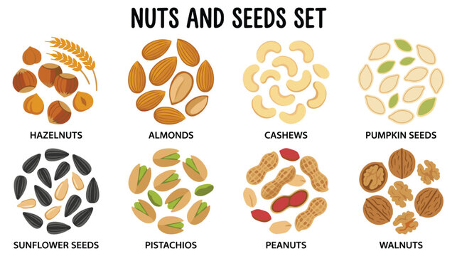 Healthy raw nuts and seeds collection with hazelnut almond cashew.