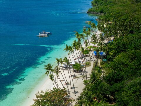 Drone shot of palm trees and clear water at Paliton Beach