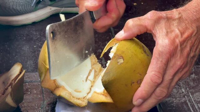 Cutting Open a Coconut