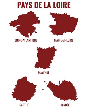 Vector Map of departments of Pays de la Loire region, France