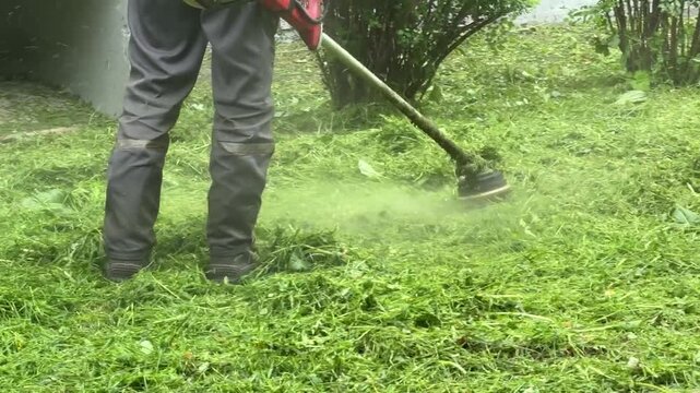 worker in protective clothing uses a gasoline string trimmer to mow thick, tall grass and weeds in a garden. Action shot of lawn maintenance, landscaping services, and backyard care during springtime