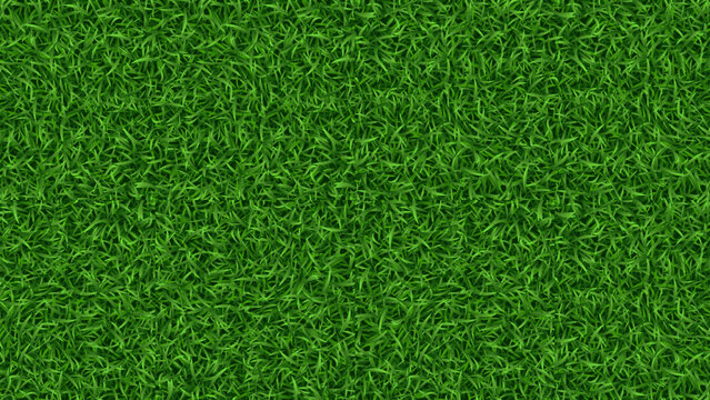 A fresh green grass texture top view background presents a natural pattern of vibrant lawn turf in a summer meadow.
