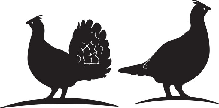 Black silhouettes of two grouse birds standing