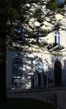 Building facade with large windows and stacked chairs in front, framed by a pine tree casting shadows on the wall