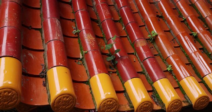 Detailed shot of traditional Chinese roof featuring red and yellow glazed ceramic tiles. Intricate patterns of weathered cylindrical tiles show moss and small green plants sprouting from crevices.