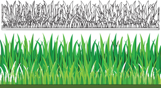 Realistic Green Grass Border Vector Set Isolated on Transparent Background