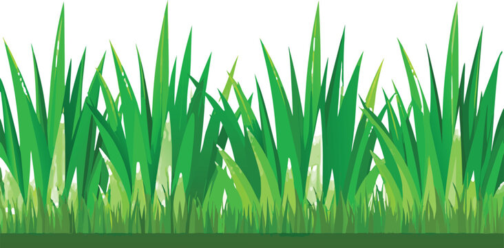 Realistic Green Grass Border Vector Set Isolated on Transparent Background