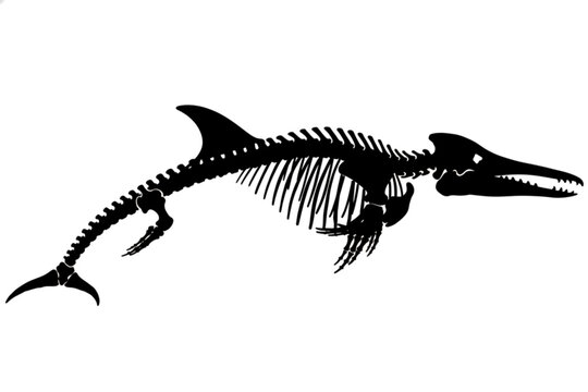 Fossilized Ichthyosaur Skeleton: A detailed silhouette of an ichthyosaur skeleton, showcasing its ancient marine reptile anatomy, presented as a stark black graphic on a white background.
