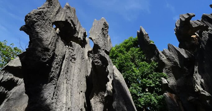 Low angle shot, camera turns left to thin, jagged limestone structures hanging precariously at Shilin Stone Forest in Yunnan, China. Sharp karst peaks and razor-edged rock formations