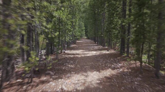 Utah Mountain Forest Road Aerial Forward Tracking Shot 4K