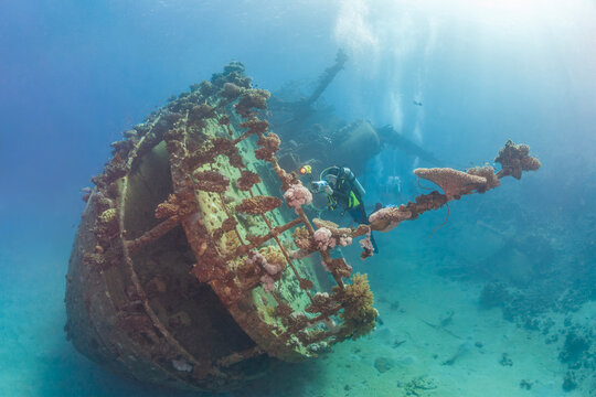 Underwater cameraman filming the Tien Hsing shipwreck on a coral reef in the Red Sea.