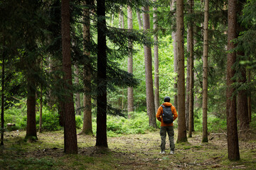 Fototapeta premium Man hiking in the Forest. Travel, tourism, adventure and healthy active lifestyle in nature