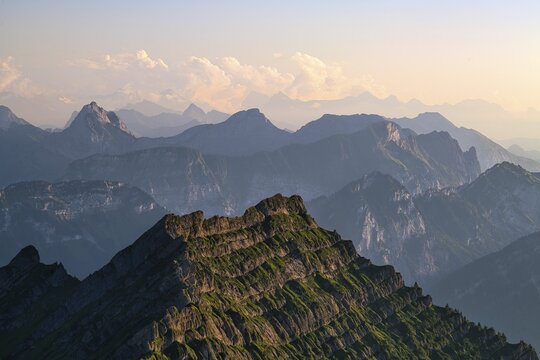View from Europe's highest Nagelfluhberg Speer, Mount Federispitz with Central Swiss Alps in the evening light, Canton St. Gallen, Switzerland