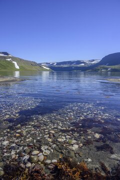 Shell Bay, Heysteri, Hornstrandir, Vestfir&eth;ir, Iceland