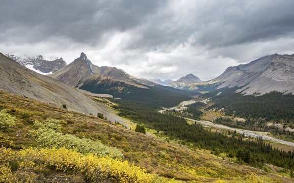 View into the valley with Icelfields Parkway, view of mountain landscape and glaciers in autumn, mountains Hilda Peak and Nigel Peak, Jasper National Park National Park, Canadian Rocky Mountains, Alberta, Canada