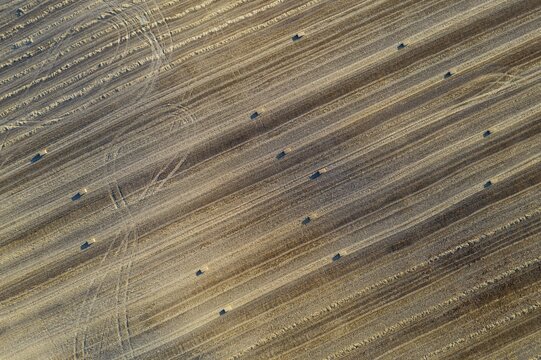 Bales of straw and abstract patterns in cornfield after wheat harvest, prominent the tractor wheel ruts, aerial view, drone shot, C&oacute;rdoba province, Andalusia, Spain