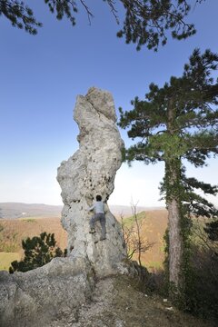 Arnstein rock spire, climber, Triestingtal valley, Lower Austria, Austria, Europe