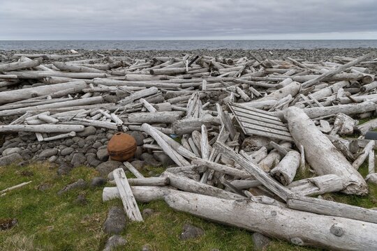 Driftwood, rusty buoy, Langanes Peninsula, Iceland