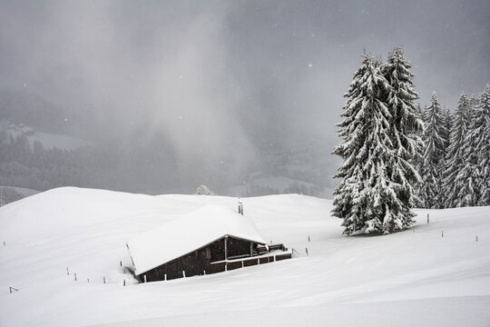 Snowed-in mountain hut on a slope with snowfall, Hochbrixen, Brixen im Thale, Tyrol, Austria
