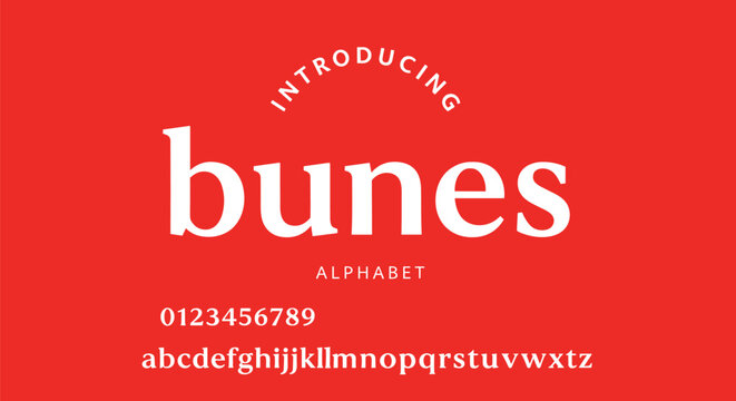 Bunes font icon collection, alphabet typeface artwork design, typography motif concept, lettering theme style, flat vector illustration