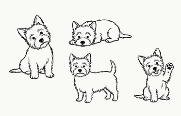 Fototapeta premium Cute west highland white terrier puppy collection drawn in minimalist black line art style