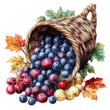 watercolor of Cornucopia, hand-drawn, isolated on a white background.