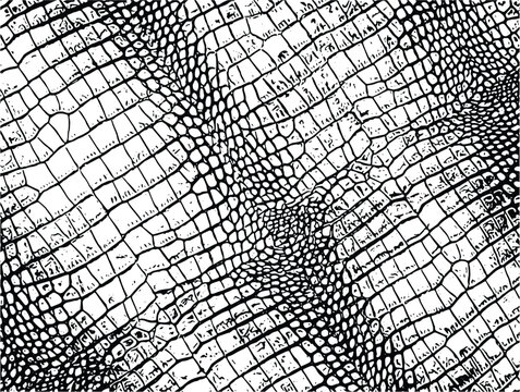 Organic crocodile skin texture vector graphic element
