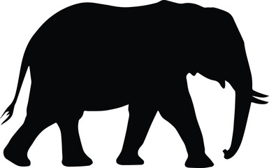 Fototapeta premium elephant silhouette black walking vector isolated on white background