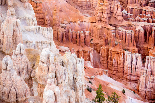 Hoodoos seen from Inspiration Point in Bryce Canyon National Park, Utah