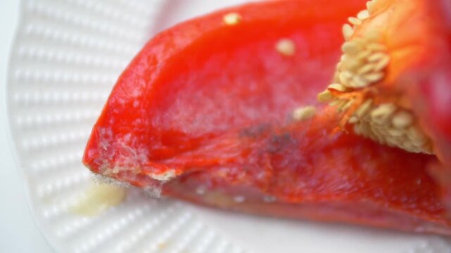 Close Up of White Pin Mold Spores Growing on Red Bell Pepper Slice &mdash; Fungal Hyphae Filament, Capsicum Decay Spoilage, Organic Decomposition, and Perishable Food Waste Loop