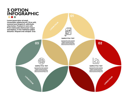 Vector circle infographic with 3 optional steps for business visual presentations. Venn diagram 3 option steps. Vector editable.