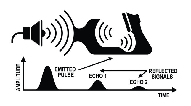 sonar transducer illustration with sound waves and signal graph