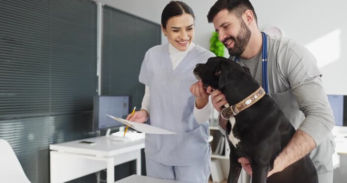 Veterinarian nurse and doctor conduct dog checkup. Friendly vet team supports a pet at a clinic, with tools showing care and trust. Concept: compassionate veterinary service and care.
