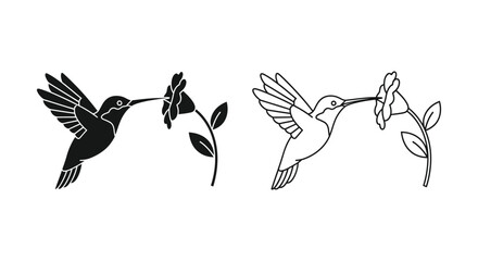 Hummingbird feeding from flower two styles © Sopna