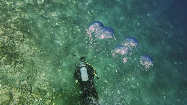 Scuba diver blowing big bubble rings underwater